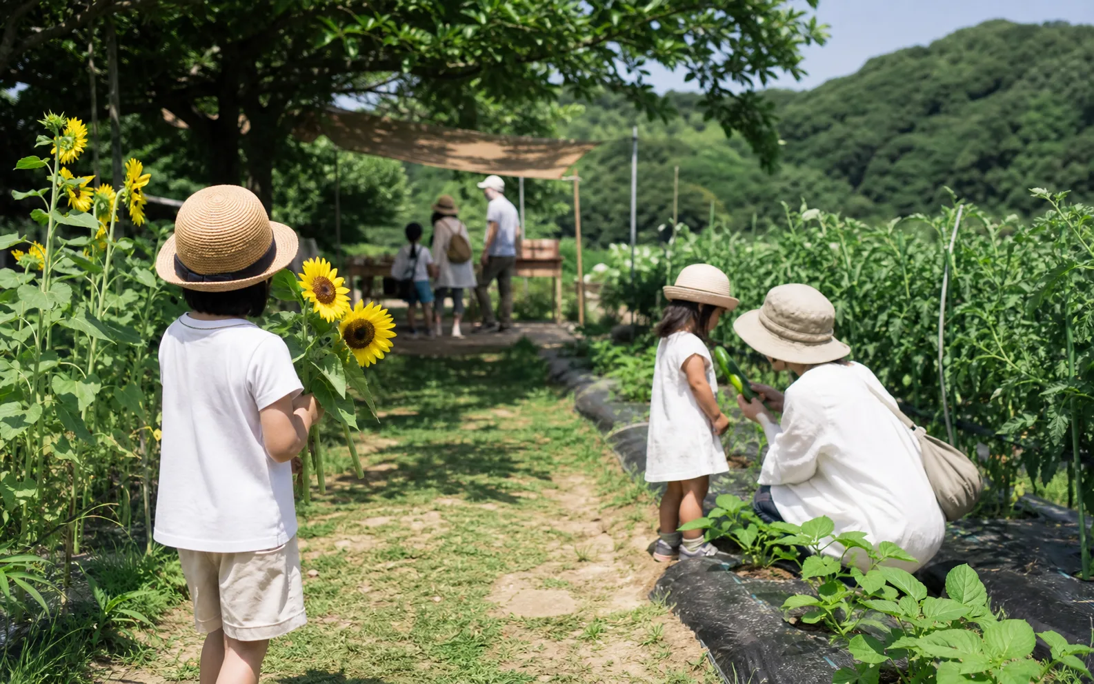 農園で花や野菜に触れる家族のイメージ