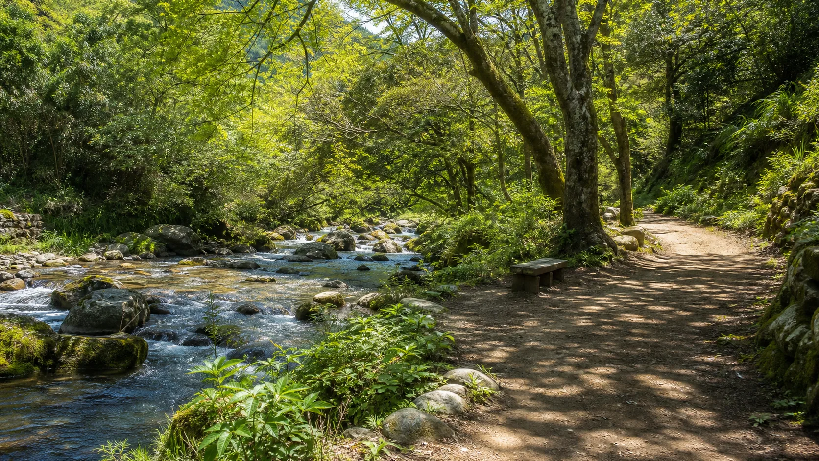 足柄周辺の水辺散策を想起させる写真調イメージ